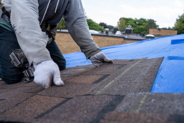 Best Emergency Roof Repair  in Drexel, NC